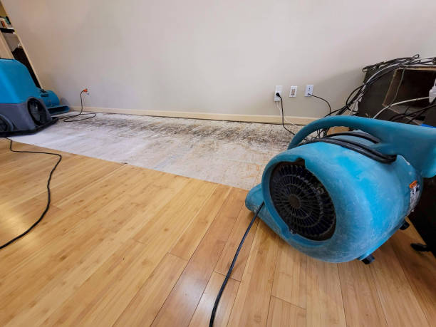 Professional Structural Drying technician working in Rumford, ME